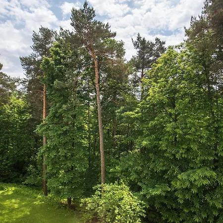 フォー ポインツ バイ シェラトン モンス